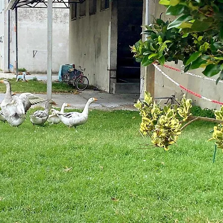 Farm stay Corte Filippi Villadose